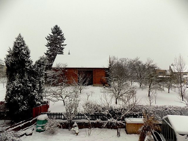 Kvasice