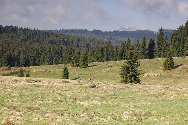 Šumava
