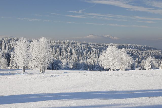 Šumava