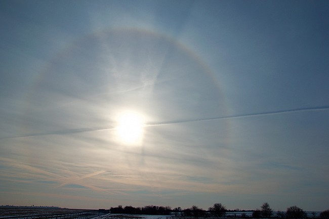 Malé halo