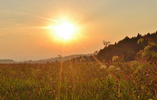 Slunce