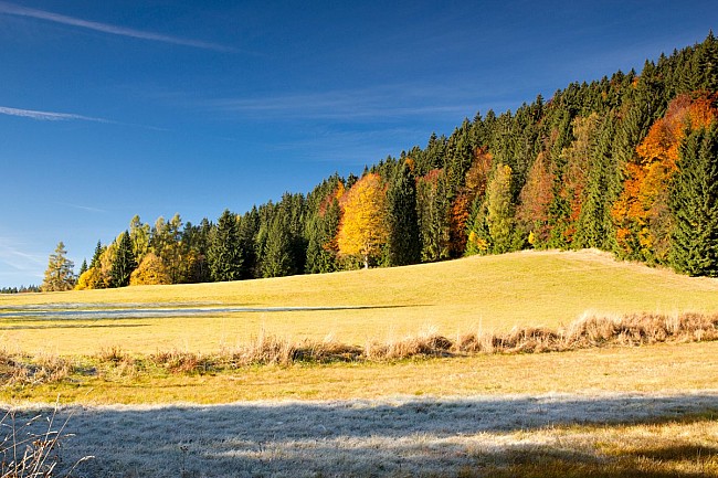 Podzim