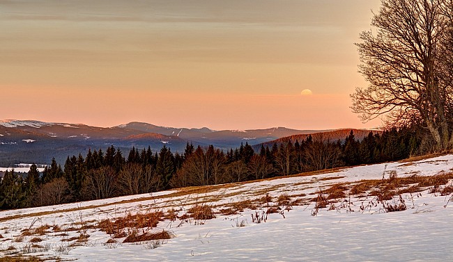 Šumava