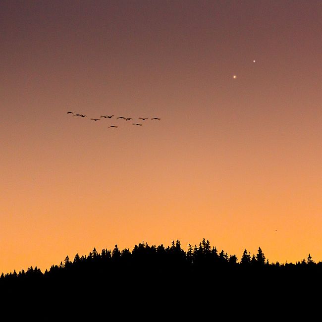 Venuše a Jupiter