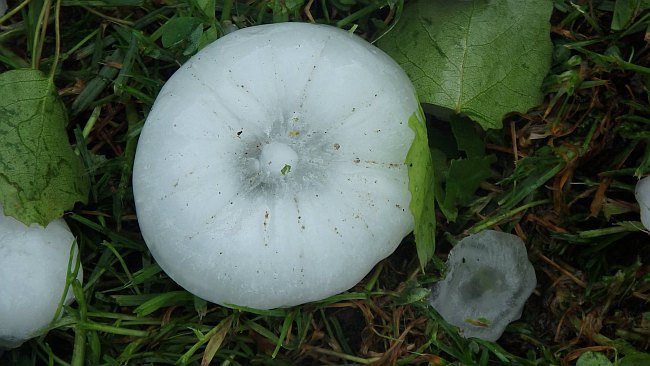 Kroupa