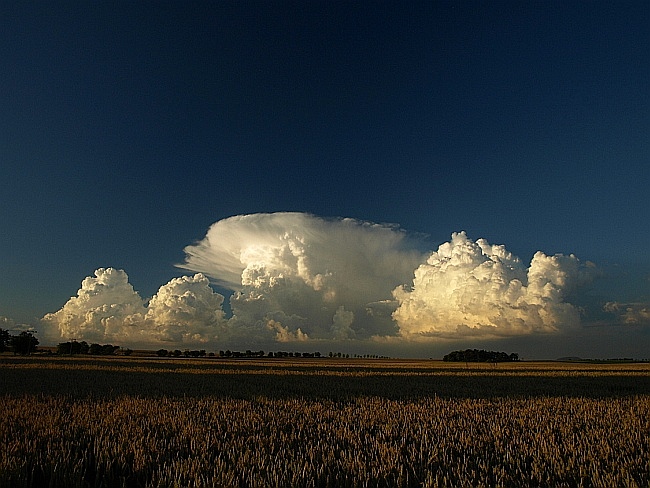 Cumulonimbus
