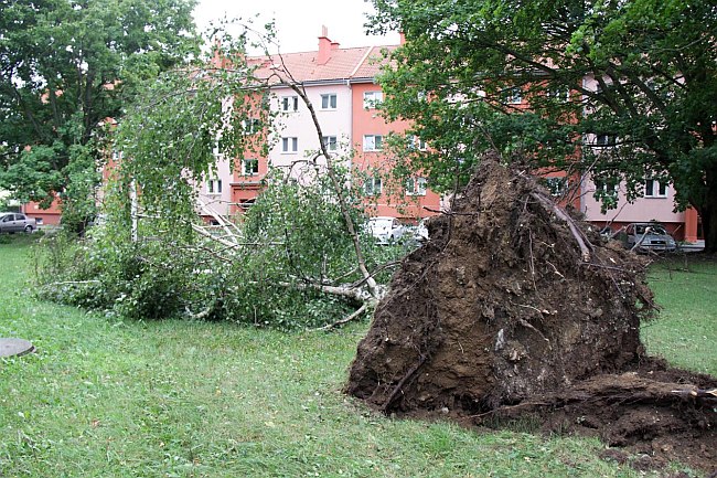 Uničov