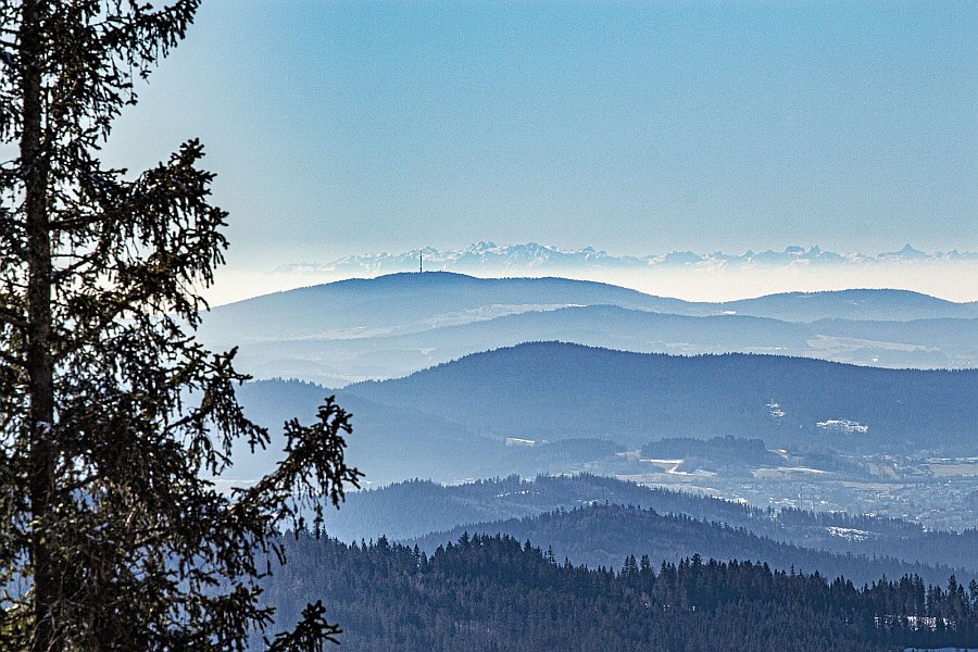 Pancíř