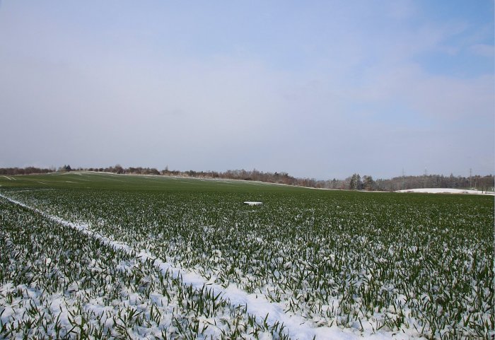 Jaro se sněhem