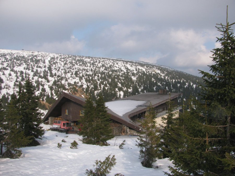 Sníh