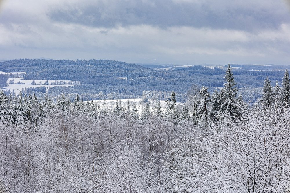 Sníh