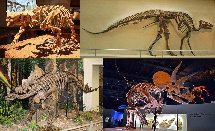 Dinosauři