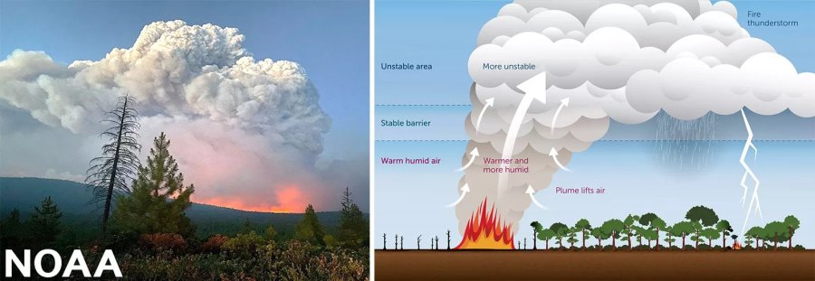 Pyrocumulonimbus