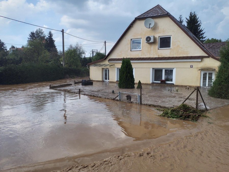 Dům