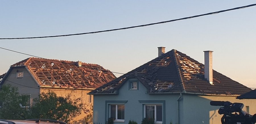 Škody