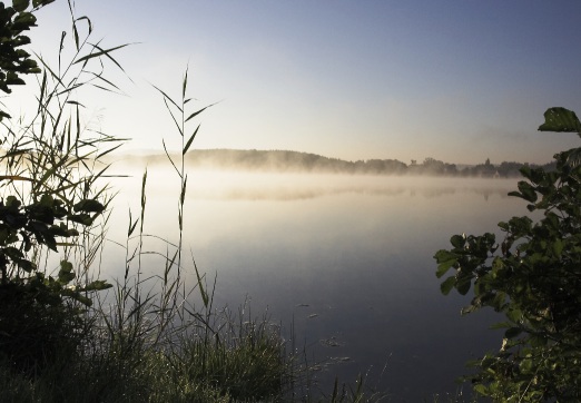Mlha nad rybníkem Mlha nad rybníkem