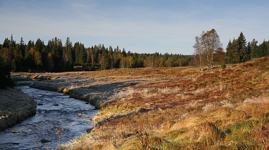 Šumava