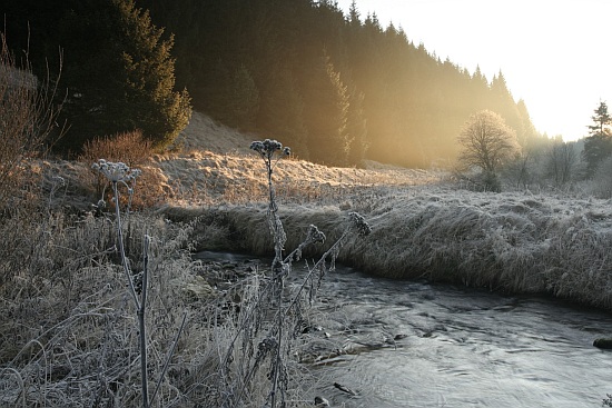 Šumava