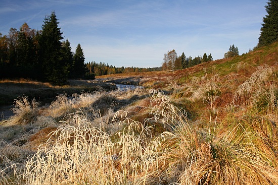 Šumava