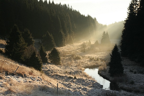 Šumava