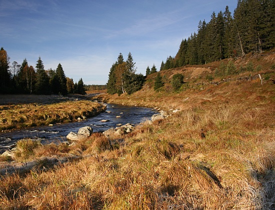 Šumava
