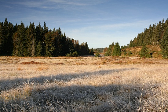 Šumava
