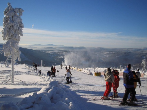 Lyžování