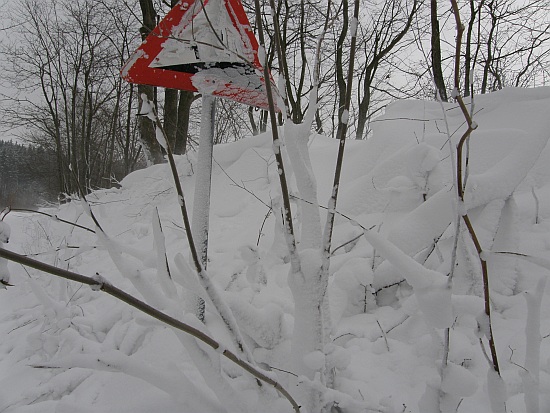 Sněžení