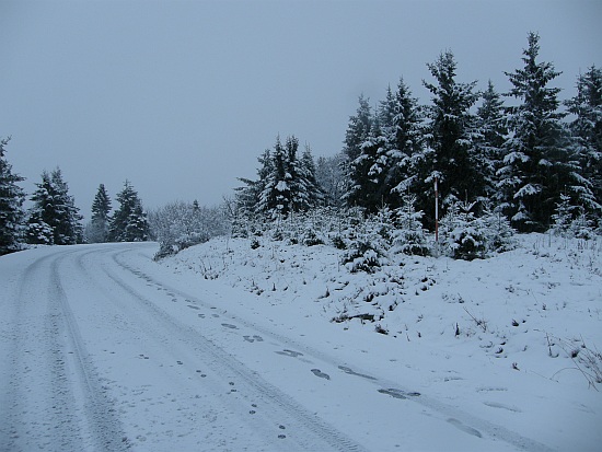 Sníh