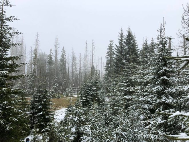 Šumava