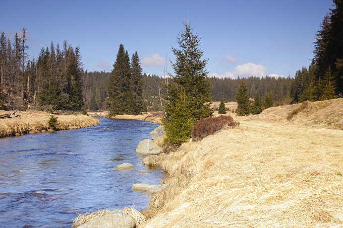 Šumava