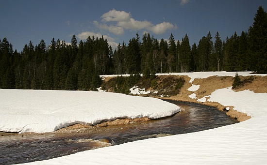 Šumava