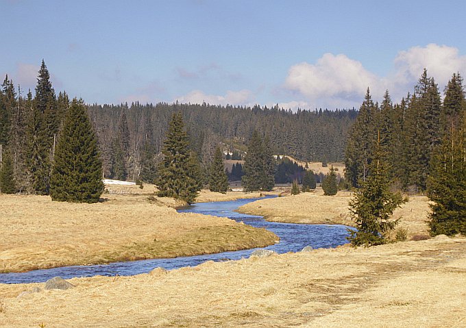 Šumava