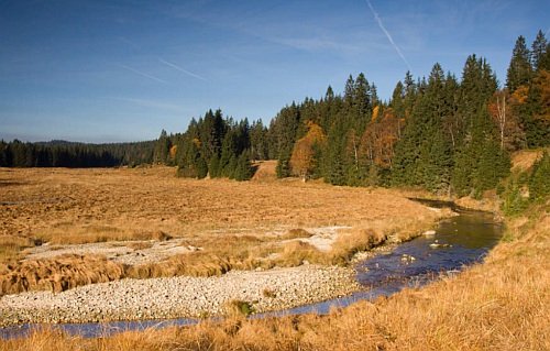 Šumava