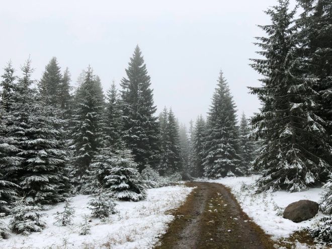 Šumava