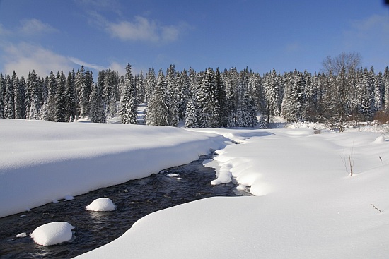 Šumava