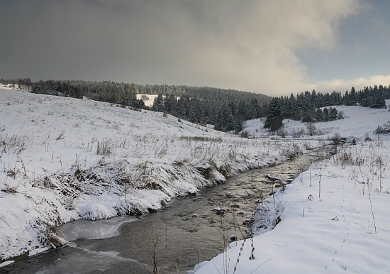 Šumava