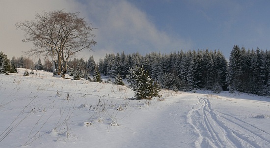 Šumava