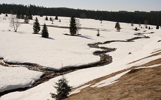 Šumava