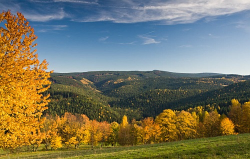 Šumava
