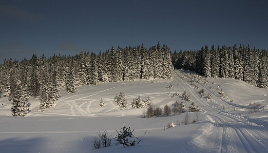 Šumava