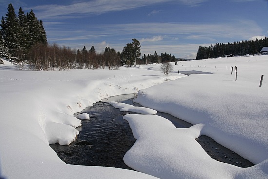 Šumava