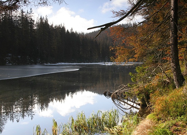Šumava