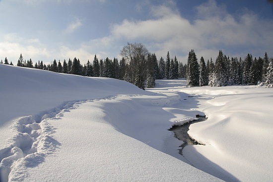 Šumava