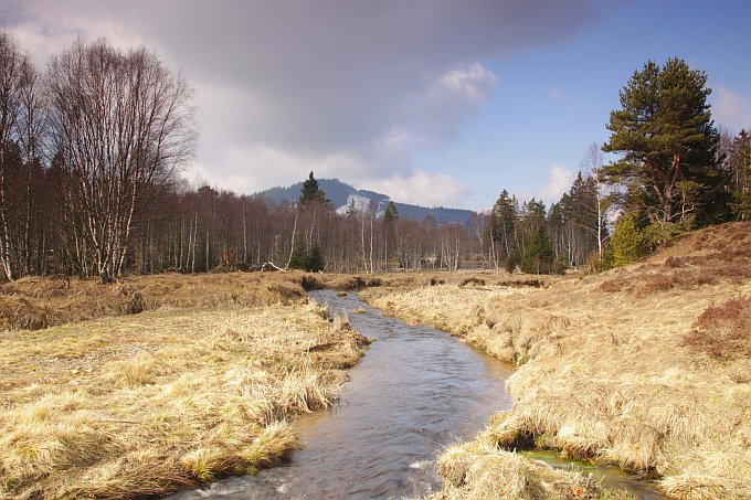 Šumava