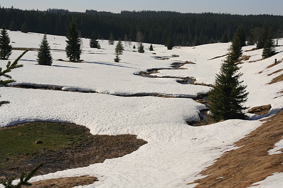 Šumava
