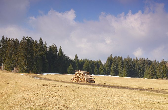 Šumava