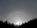 Halo nad lesem