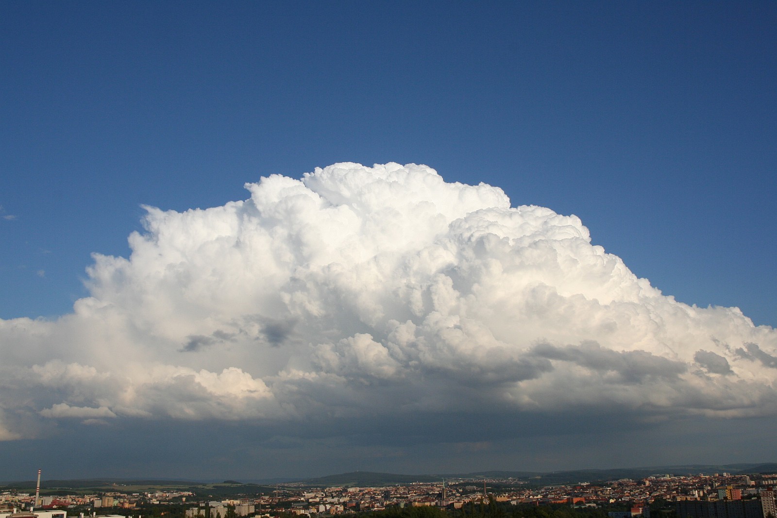 Cumulus congestus