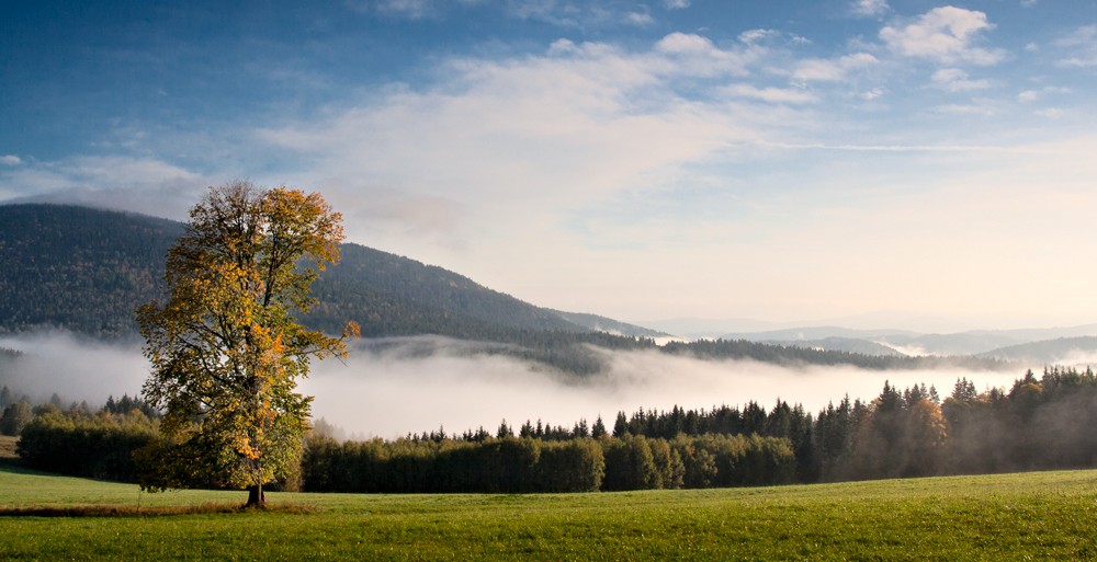 Šumava